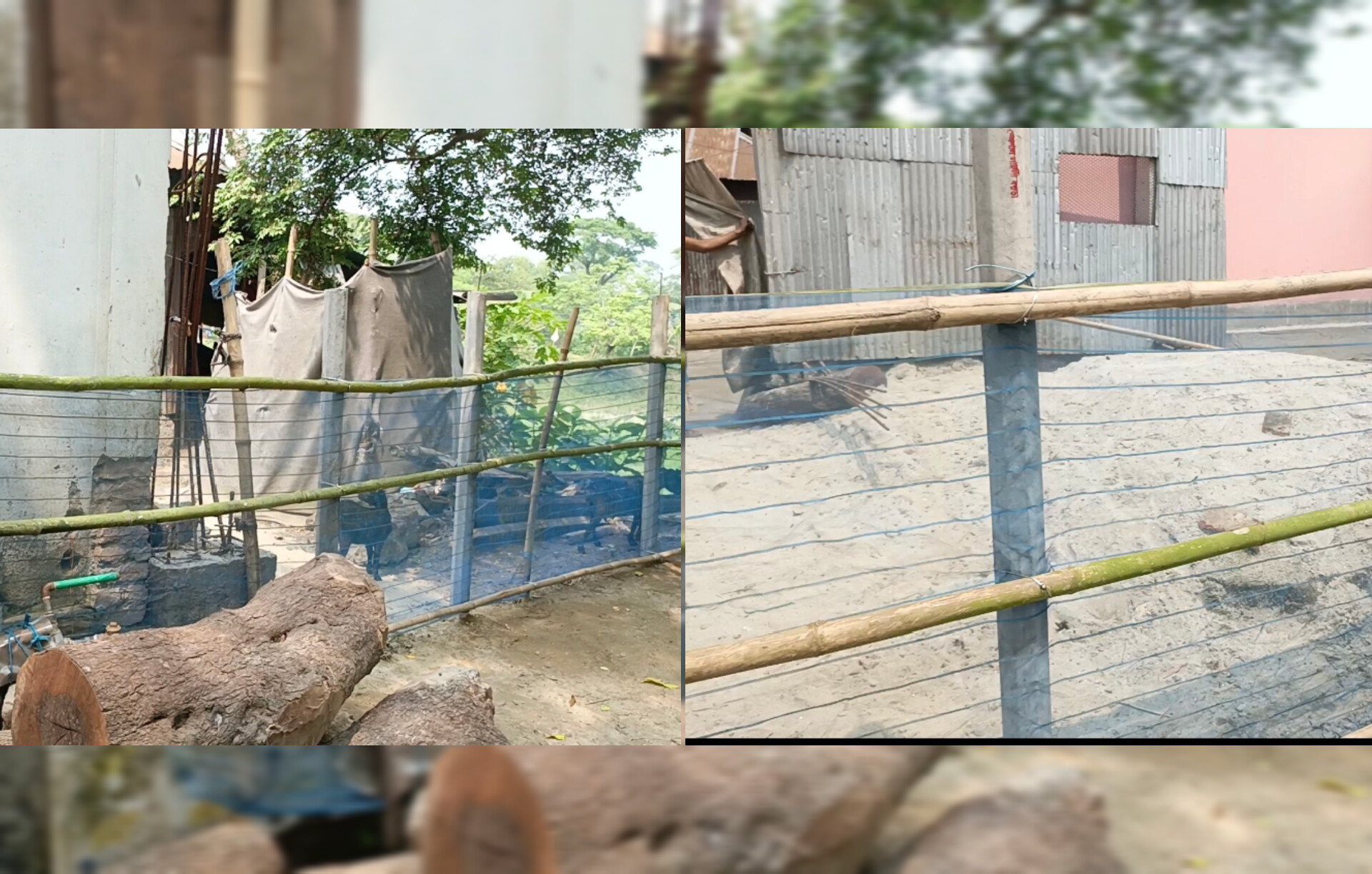 বসতবাড়ির চারপাশে কাঁটাতারের বেড়া, ঘরবন্দি একাধিক পরিবার