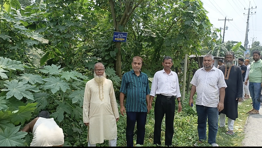 ময়মনসিংহে ‘লেতু মন্ডল উচ্চ বিদ্যালয়ের’ নিজস্ব জমিতে পরিচ্ছন্নতা ও বৃক্ষরোপণ কর্মসূচি
