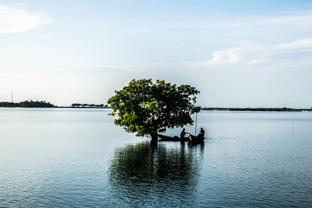 হাওর অঞ্চলে বৃক্ষরোপণের প্রকল্প ৩২ বছরেও বাস্তবায়ন হয়নি